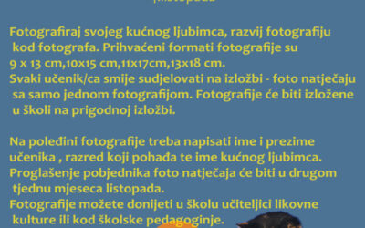 Foto natječaj za učenike OŠ Murterski škoji i PO Betina