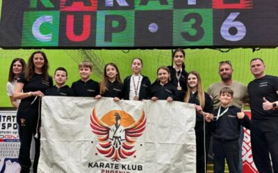 Uspjesi naših učenika članova Karate kluba Phoenix